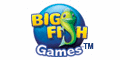 Codes promo big_fish