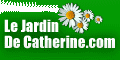 le jardin de catherine